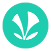 Saavn